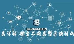 区块链的种类详解：探索不同类型区块链的应用