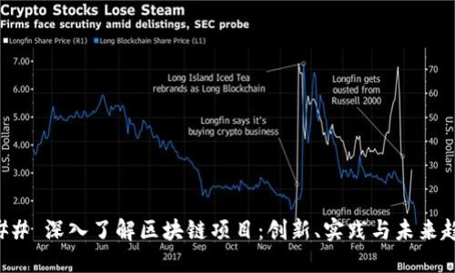 ### 深入了解区块链项目:创新、实践与未来趋势