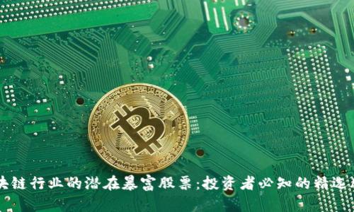 区块链行业的潜在暴富股票：投资者必知的精选股票