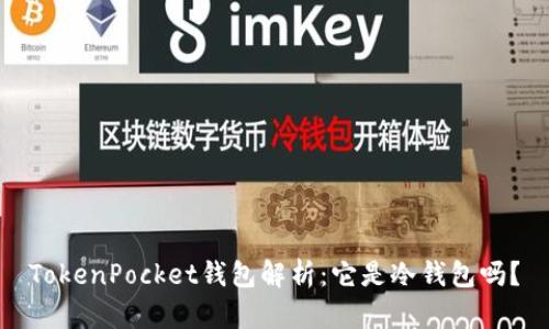 TokenPocket钱包解析：它是冷钱包吗？