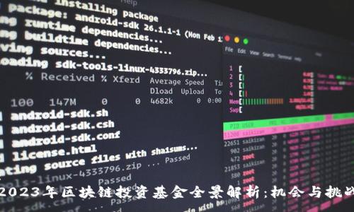 : 
2023年区块链投资基金全景解析：机会与挑战