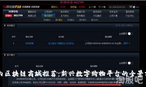 国内区块链商城推荐：新兴数字购物平台的全景分析