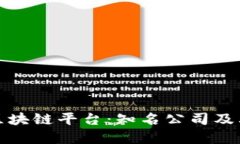 探秘主流区块链平台：知名公司及其技术解读