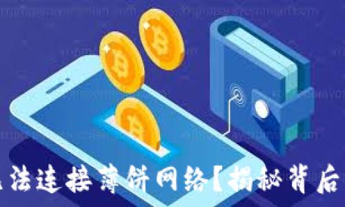   
为何你的TP钱包无法连接薄饼网络？揭秘背后的原因与解决方案