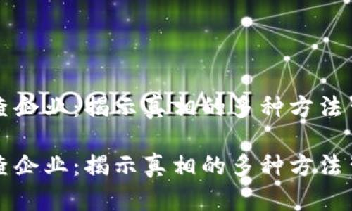 区块链调查企业：揭示真相的多种方法背后的秘密

区块链调查企业：揭示真相的多种方法背后的秘密