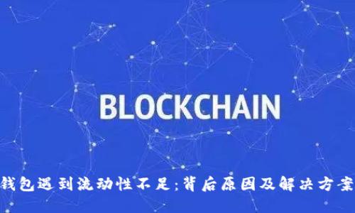 当TP钱包遇到流动性不足：背后原因及解决方案揭秘！