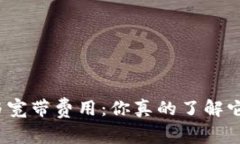 TP钱包能量与宽带费用：你真的了解它们的关系吗