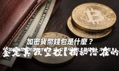 如何在TP钱包中鉴定真假空投？揭秘潜在的风险与安全技巧
