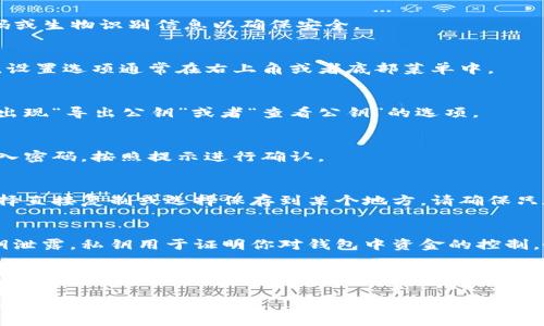 导出TP钱包中的公钥的步骤相对简单，但由于每个钱包的界面和设置可能存在差异，请根据你使用的版本和设备进行调整。以下是一般的步骤：

1. **打开TP钱包应用**：
   启动你的TP钱包应用，这通常需要你输入密码或生物识别信息以确保安全。

2. **进入钱包设置**：
   在主界面上，寻找设置或账户选项。一般来说，设置选项通常在右上角或者底部菜单中。

3. **选择导出公钥**：
   在设置菜单中，找到账户相关的选项，可能会出现“导出公钥”或者“查看公钥”的选项。

4. **确认导出**：
   有时，系统可能会要求你确认操作，或再次输入密码。按照提示进行确认。

5. **保存或复制公钥**：
   导出后，公钥通常会显示在屏幕上，你可以选择直接复制或选择保存到某个地方。请确保只在安全的地方存储你的公钥。

6. **安全注意事项**：
   公钥是可以公开分享的，但请确保不要将私钥泄露。私钥用于证明你对钱包中资金的控制，务必保密。

不同版本的TP钱包界面可能有所不同，但一般步骤大同小异。如果在使用过程中遇到问题，建议查看TP钱包的官方文档或联系其客服支持。

希望这些信息能帮助你顺利导出公钥！如果还有其他问题，请随时问我。