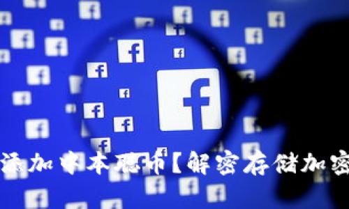 如何在TP钱包中添加中本聪币？解密存储加密货币的最佳实践