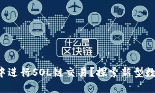 如何在TP钱包中进行SOL链交易？探索新型数字资产的魅力！