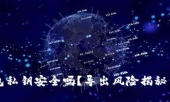你的TP钱包私钥安全吗？导出风险揭秘与防护指南