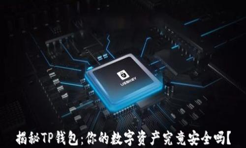 
揭秘TP钱包：你的数字资产究竟安全吗？