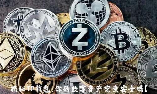 
揭秘TP钱包：你的数字资产究竟安全吗？