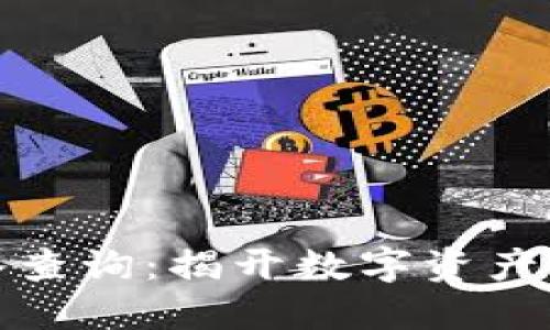 TP钱包流水查询：揭开数字资产的神秘面纱