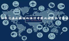   “TP钱包电脑端BSC无法导入？你可能错过了这一