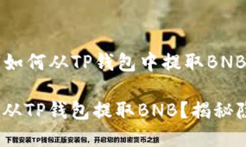 以下是一个关于“如何从TP钱包中提取BNB的和大纲”。

如何安全、高效地从TP钱包提取BNB？揭秘隐藏的步骤与技巧