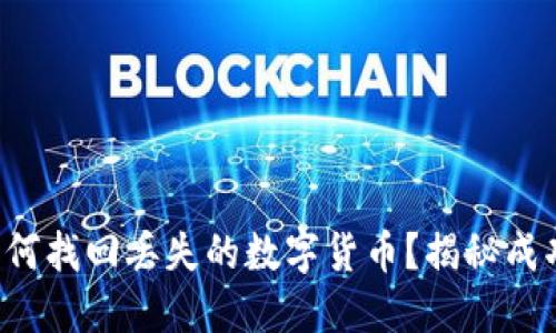 TP钱包如何找回丢失的数字货币？揭秘成功的秘诀！