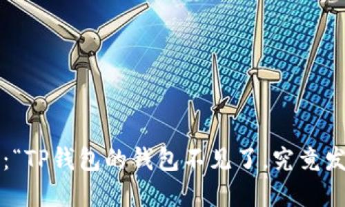 一步一脚印：“TP钱包的钱包不见了，究竟发生了什么？”