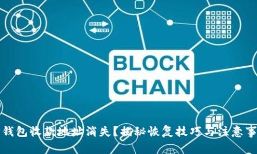 TP钱包收款地址消失？揭秘恢复技巧与注意事项