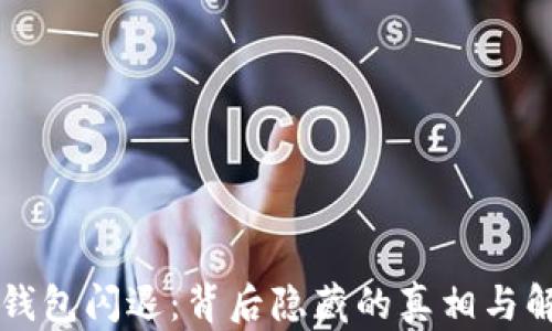 解密TP钱包闪退:背后隐藏的真相与解决方法