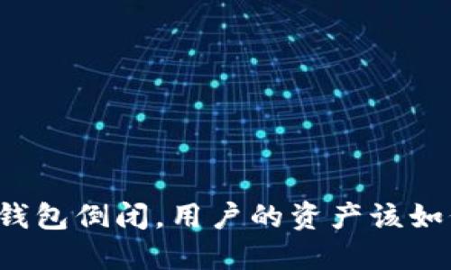 如果TP钱包倒闭，用户的资产该如何保障？