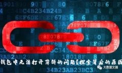 如何解决TP钱包中无法打开薄饼的问题？探索背后
