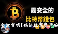 TP钱包的私钥会泄露吗？揭秘数字资产安全的隐秘