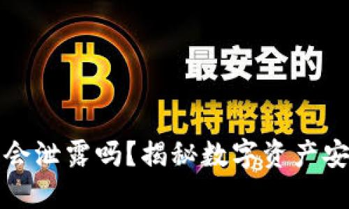 TP钱包的私钥会泄露吗？揭秘数字资产安全的隐秘角落