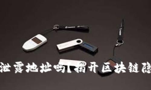 TP钱包转账会泄露地址吗？揭开区块链隐私的神秘面纱