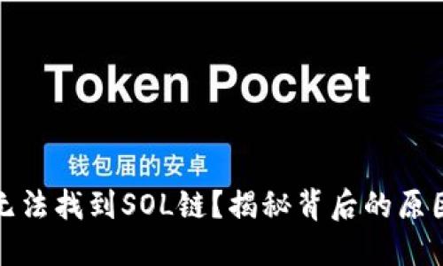 TP钱包为何无法找到SOL链？揭秘背后的原因与解决方案