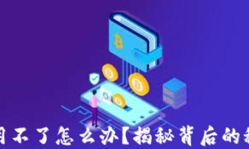 
TP钱包不加速用不了怎么办？揭秘背后的秘密与解决方案