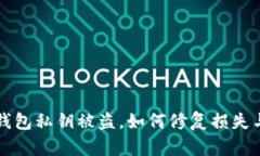 当心！你的TP钱包私钥被盗，如何修复损失与找回