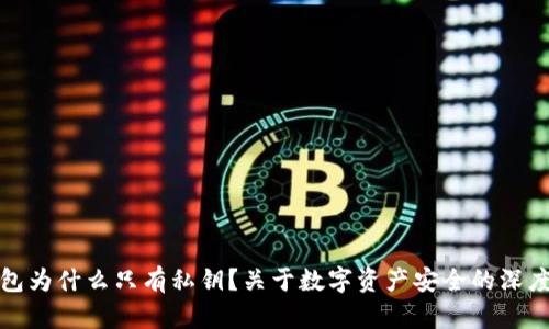 TP钱包为什么只有私钥？关于数字资产安全的深度探讨