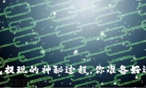 : 揭秘！TP钱包提现的神秘过程，你准备好迎接挑战了吗？