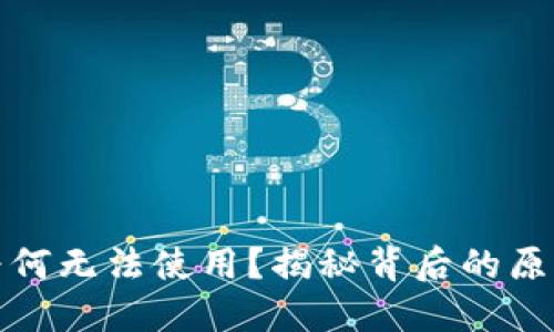 TP钱包闪兑为何无法使用？揭秘背后的原因与解决方案