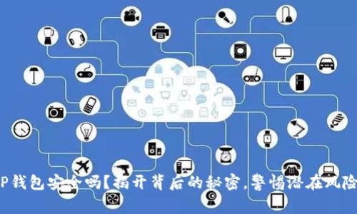 TP钱包安全吗？揭开背后的秘密，警惕潜在风险！