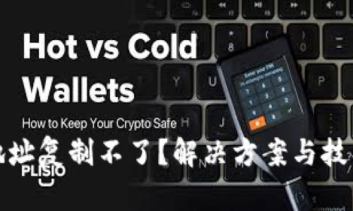 TP钱包地址复制不了？解决方案与技巧大揭秘