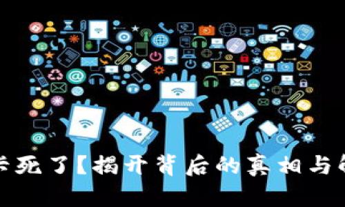 TP钱包卡死了？揭开背后的真相与解决方案