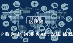 当你的TP钱包私钥丢失时，你还能挽回什么？