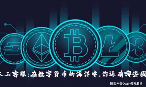 TP钱包人工客服：在数字货币的海洋中，你还有哪些困惑未解？