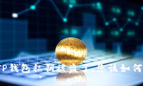 如果TP钱包私钥被盗了，您该如何应对？