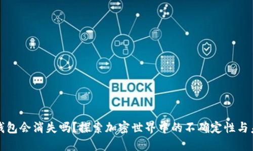 TP钱包会消失吗？探索加密世界中的不确定性与未来