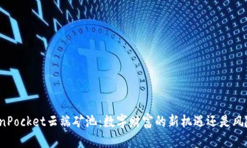 探索TokenPocket云端矿池：数字财富的新机遇还是风险的深渊？