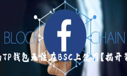 为什么你的TP钱包无法在BSC上使用？揭开背后的秘密！