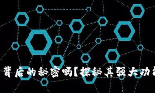 你知道TP钱包背后的秘密吗?探秘其强大功能与未来发展!