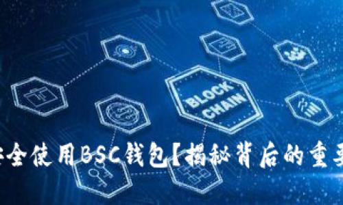 如何安全使用BSC钱包？揭秘背后的重要细节！