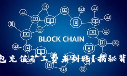 为何TP钱包充值矿工费未到账？揭秘背后的真相！