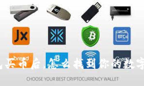 TP钱包买币后，怎么找到你的数字资产？