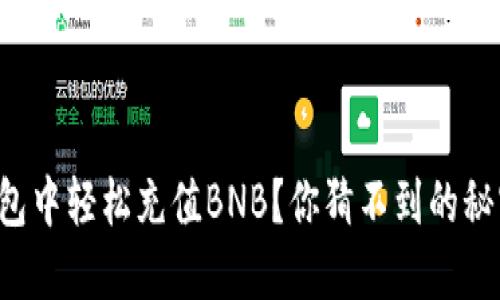 如何在TP钱包中轻松充值BNB？你猜不到的秘密方法揭秘！